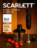 Погружной блендер Scarlett SC-HB42F72