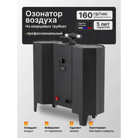 Профессиональный озонатор воздуха на кварцевых трубках Dragon 160 гр/час промышленный