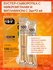 VT Cosmetics Vita-Light Reedle Shot 100 Бустер-сыворотка с микроиглами и витамин...