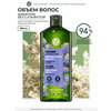 Фото Чистая Линия Объем и сила для тонких и ослабленных волос