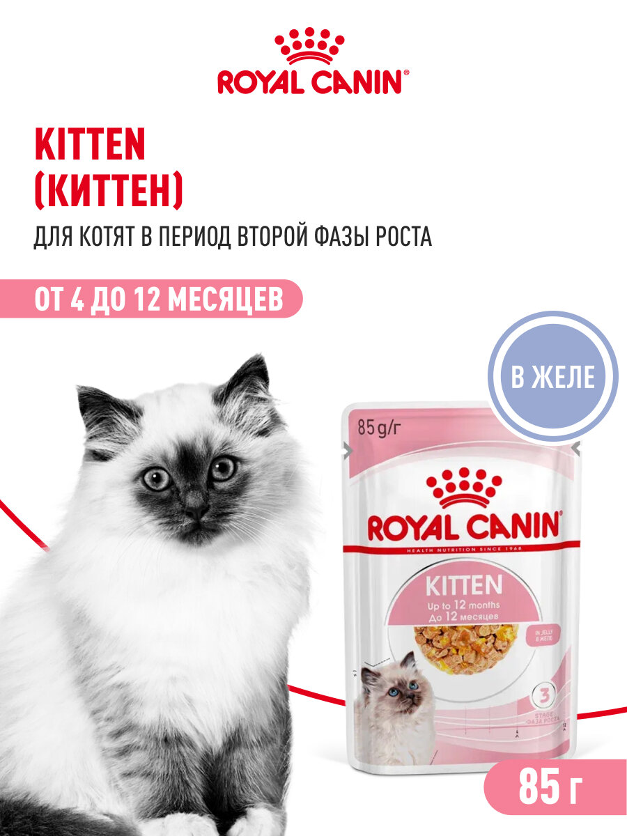 Картинки Влажный корм для котят Royal Canin Kitten кусочки в желе, 28 шт по 85 г