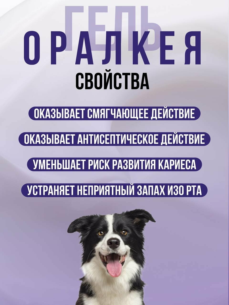 Изображение Гель зоогигиенический для полости рта «Оралкея» для кошек, собак и других домашних животных, 20 мл