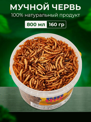 Изображение товара Корм BIG tiny Мучной Червь, для грызунов и других животных, 100% натуральный, 800мл