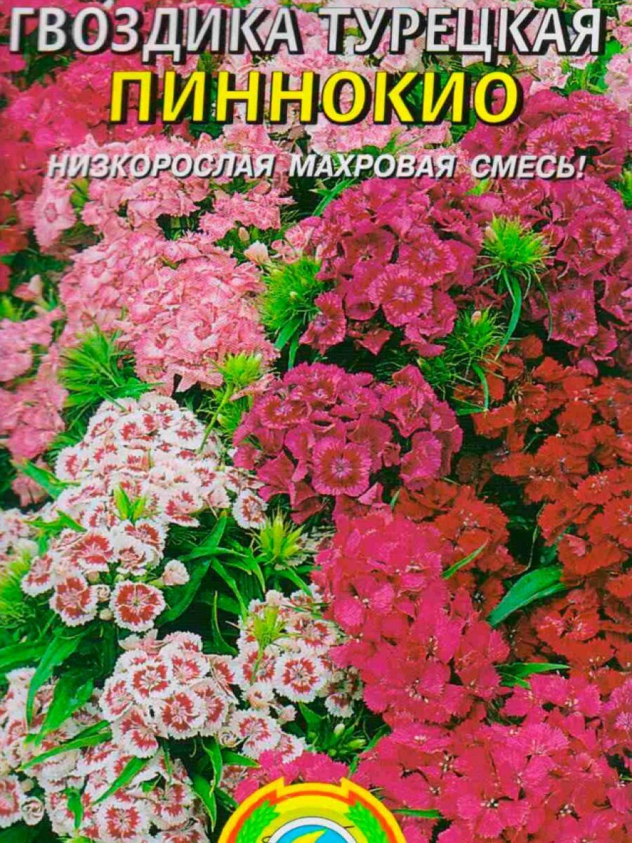 Семена Гвоздика турецкая Пиннокио 02 гр Плазменные семена