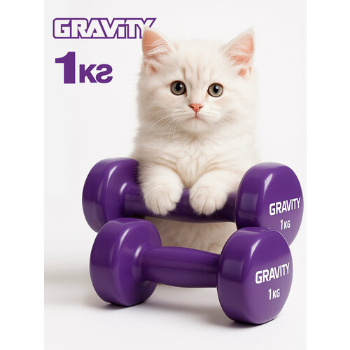 Гантели с виниловым покрытием Gravity, фиолетовые, 1 кг, пара