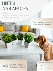 Искусственные цветы PrimeParts, в горшках, кактусы и суккуленты, 2 вида по 2 шт, 18 см