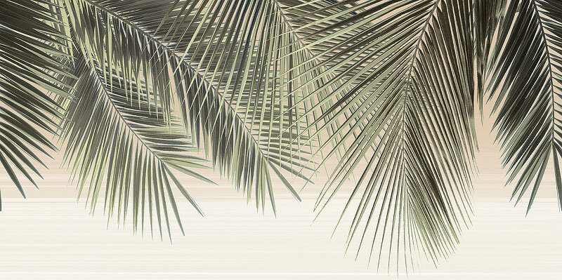 Керамический декор Alma Ceramica Del Mare DWU09DLM001 249х50 см Микс