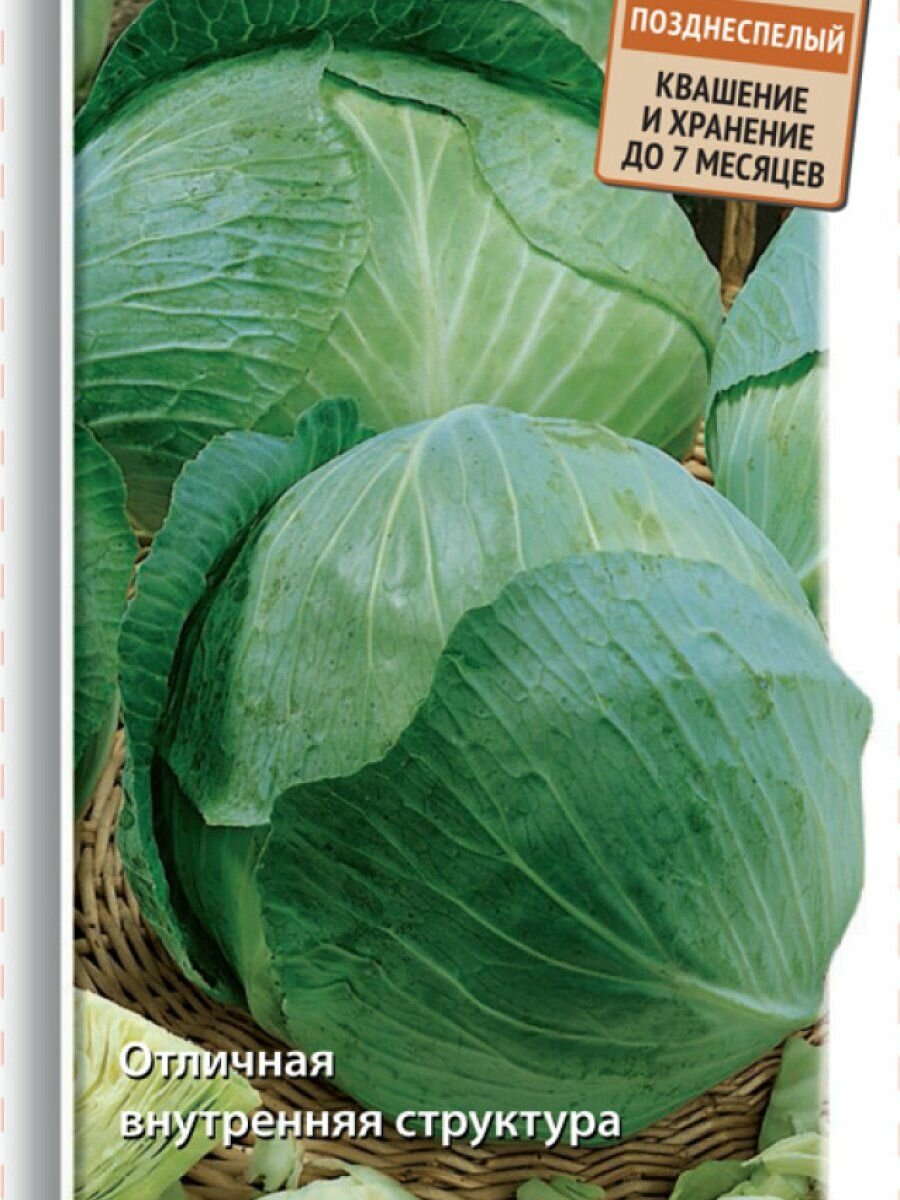 Капуста Экстра F1 белокочанная 02г Поиск