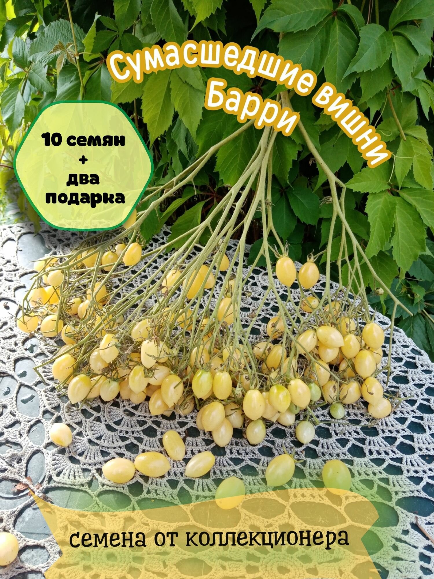 Томат Сумашедшие вишни Барри, Брэд Гейтс, черри-мультифлора, семена от коллекционера