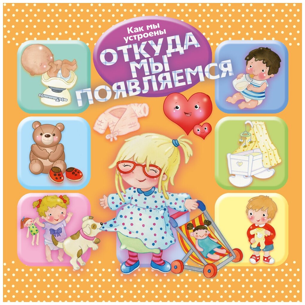 Как мы устроены Откуда мы появляемся Энциклопедия Барсотти Элеонора 0+