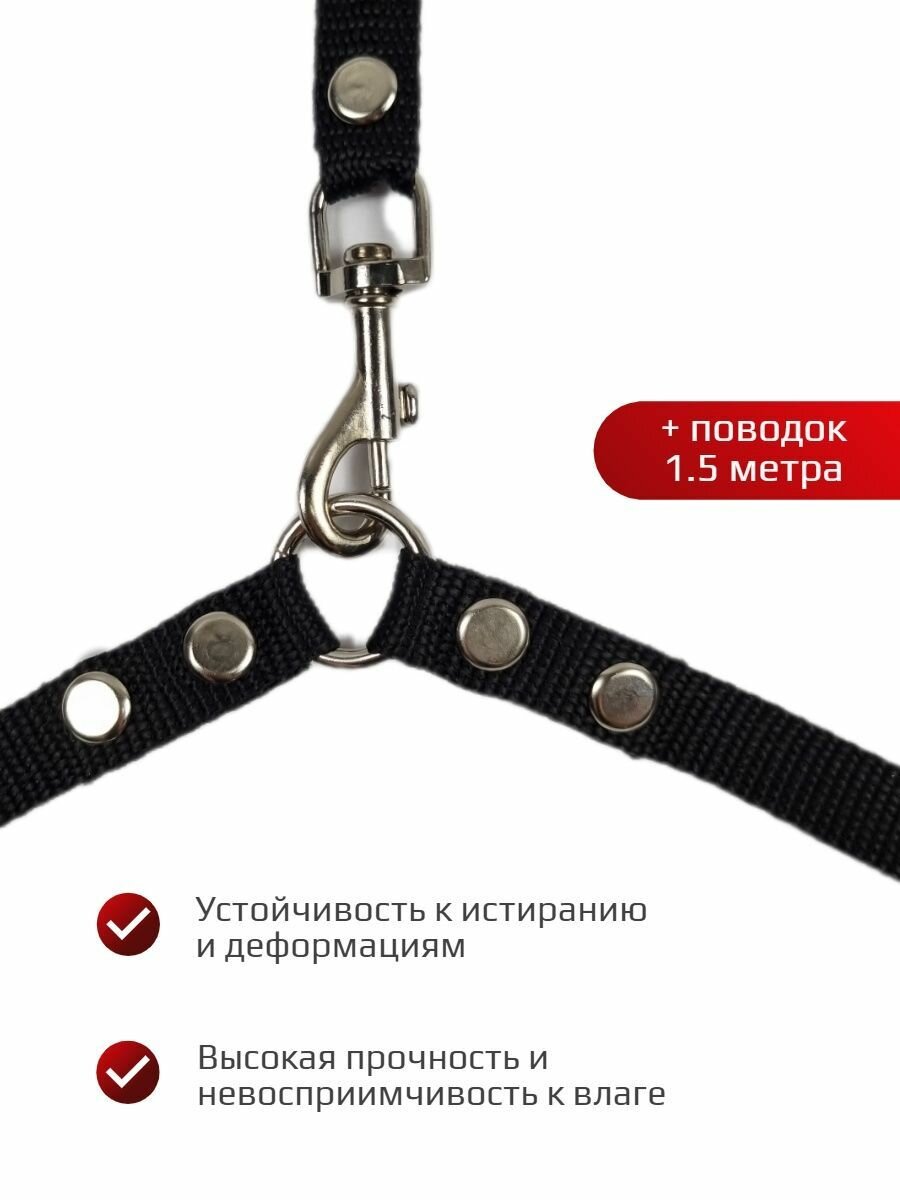 Сворка Хвостатыч для двух собак нейлон 70 см х 20 мм с поводком 1.5 м (чёрный) — фото 1