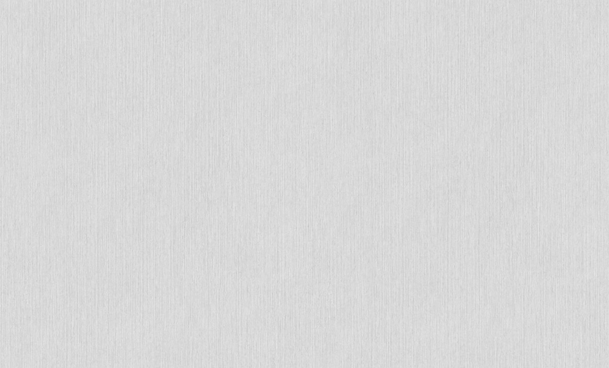 Обои виниловые ERISMANN Basic Etel 60980-05 106х1005м