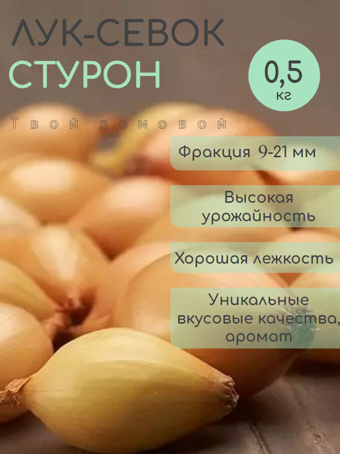 Стурон лук севок желтый 05 кг