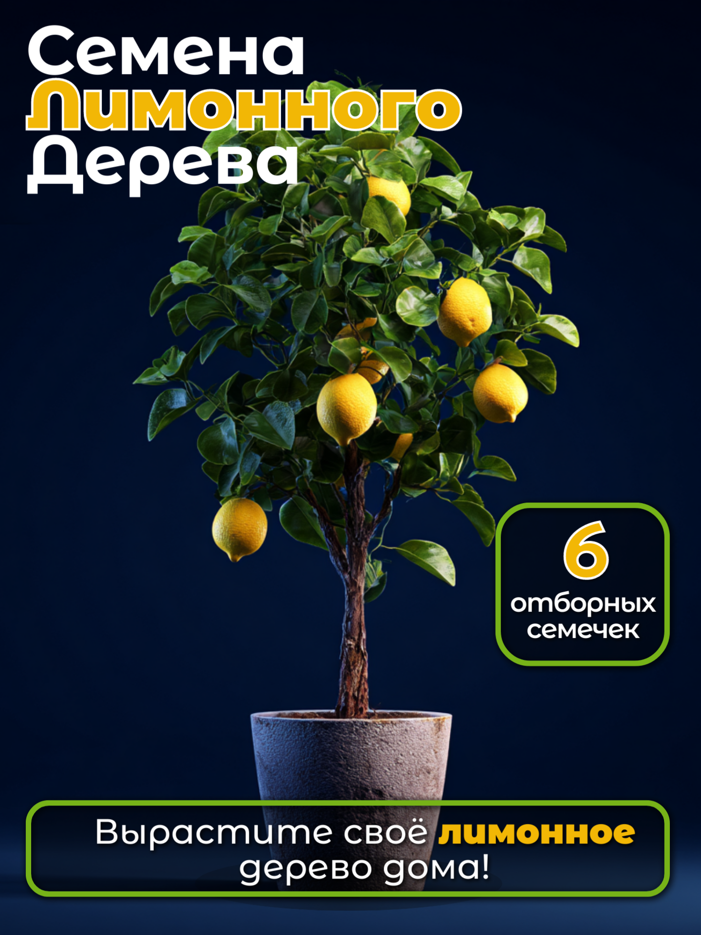 Домашний лимон семена лимонного дерева Пандероза и Новогрузинский 6 шт.