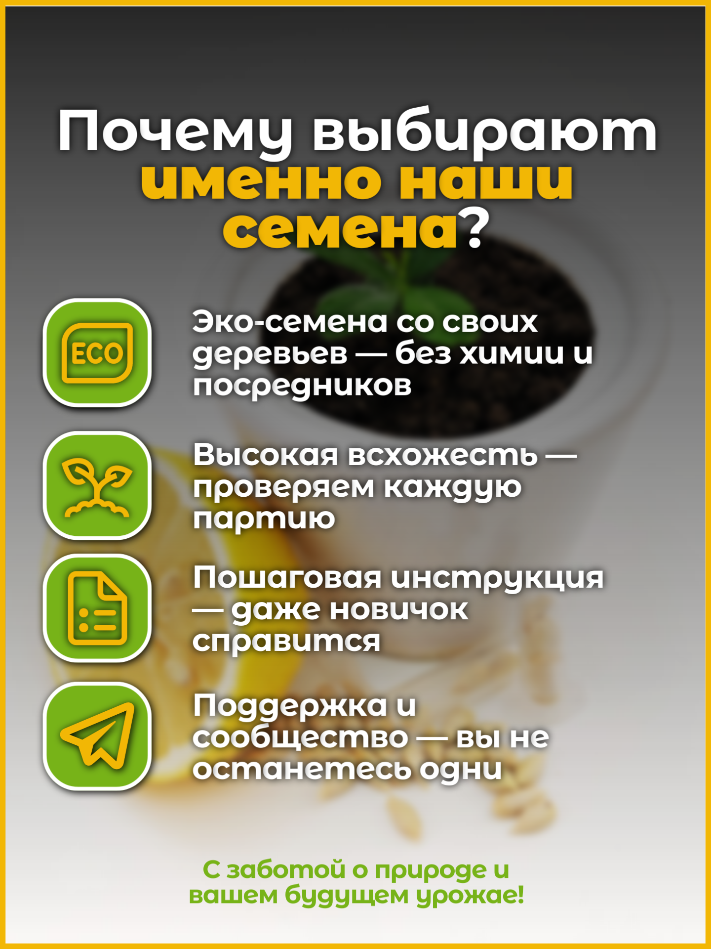 Домашний лимон, семена лимонного дерева Пандероза и Новогрузинский 6 шт. — фото 1
