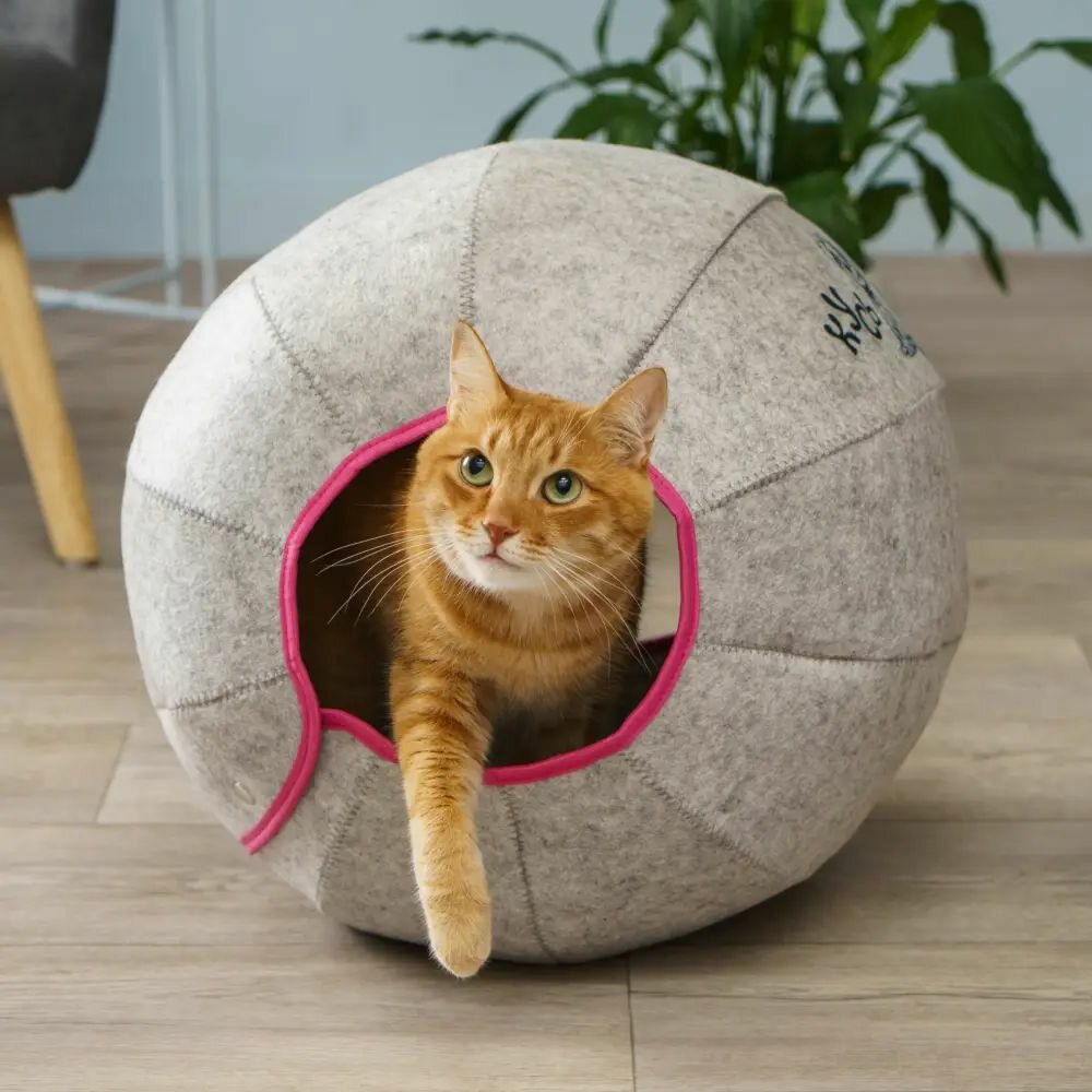 Домоседы Домик для собак и кошек  Кусь Мяу  45х45х45см