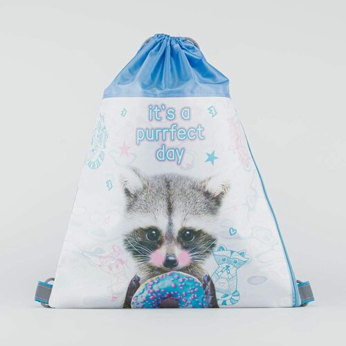 Изображение товара Мешок для сменной обуви енот котофей 02808105-20 размер разм.40*50