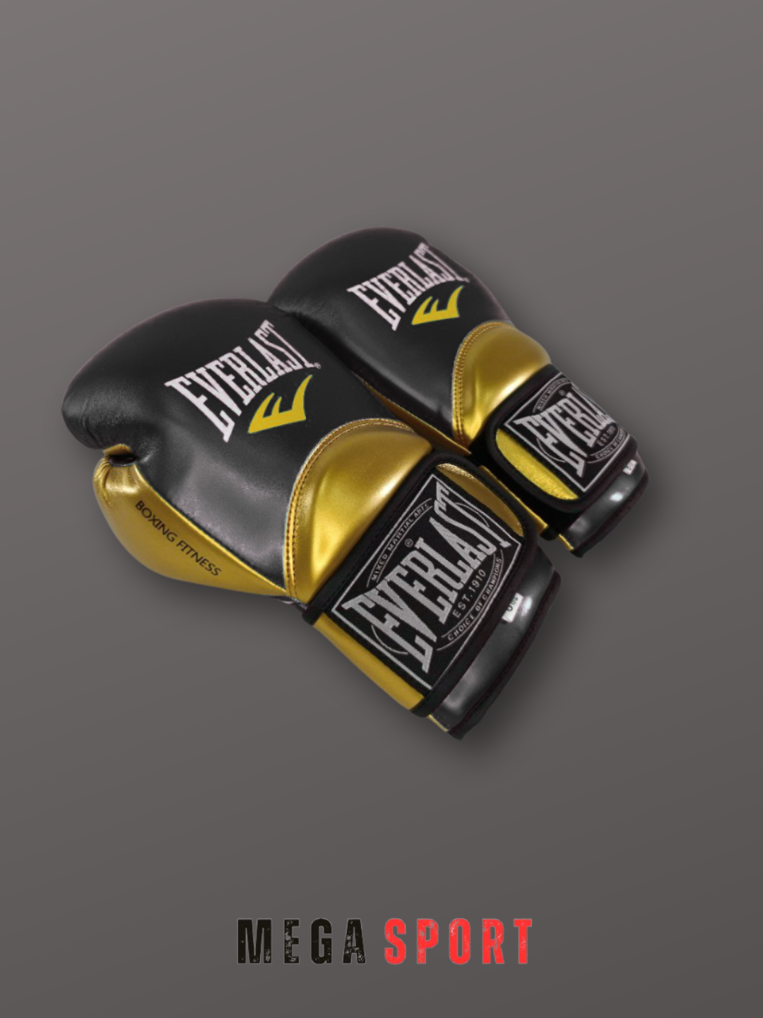 Боксерские перчатки Everlast_QORA_14 — фото 1