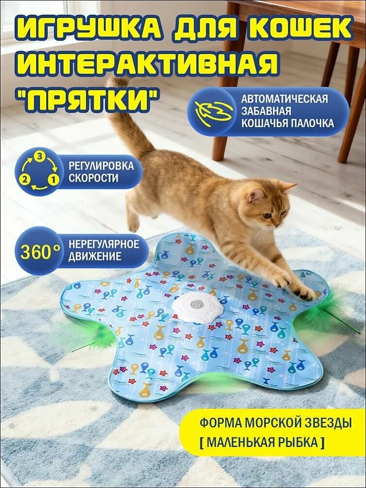 Игрушка для кошек "Прятки", интерактивная, для развития охотничьего инстинкта