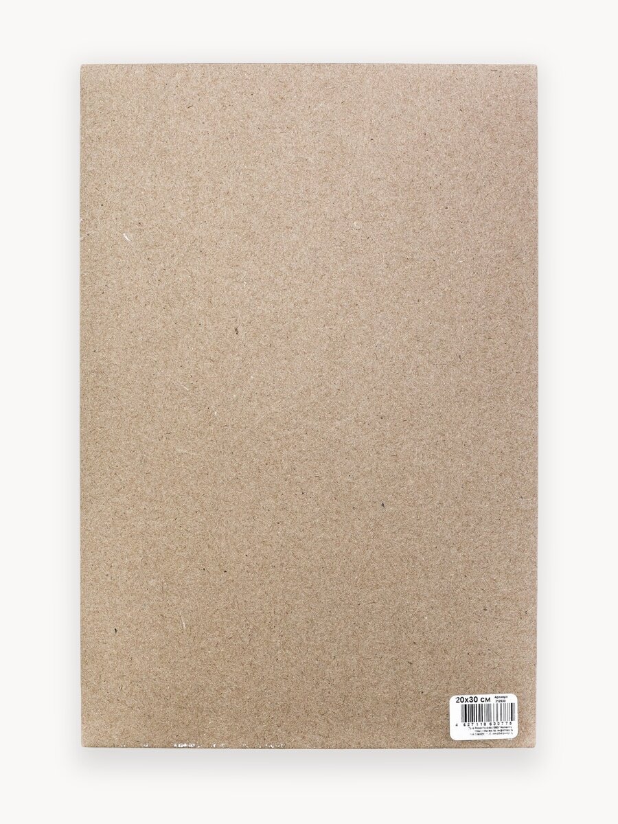 Набор картон грунтованный односторонний, Малевичъ, 20х30 см, 5 шт