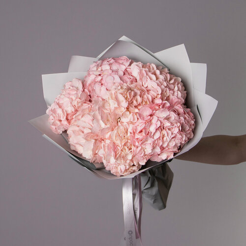 Изображение товара Букет Гортензия "Премиум Пинк" 7 шт Высота 60 см в коробке и аквабоксе от "Простоцветы"