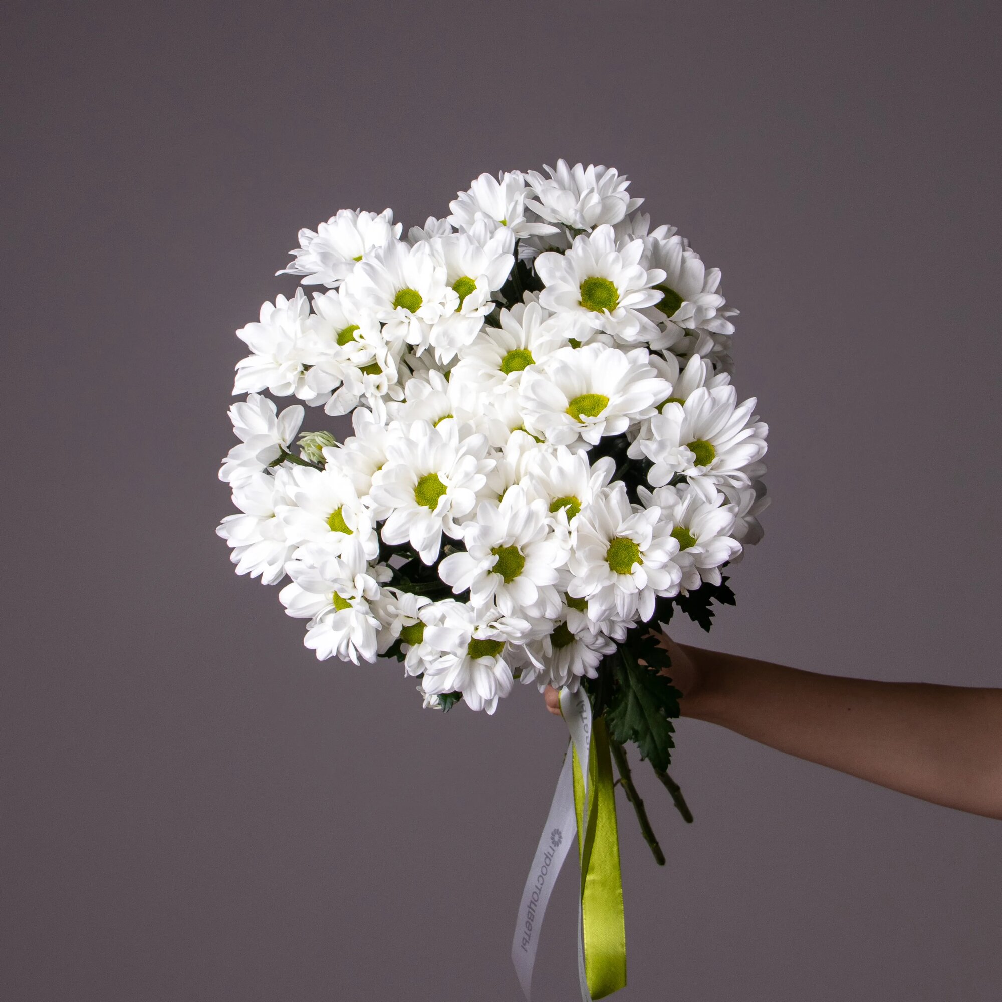 Букет Хризантема кустовая 