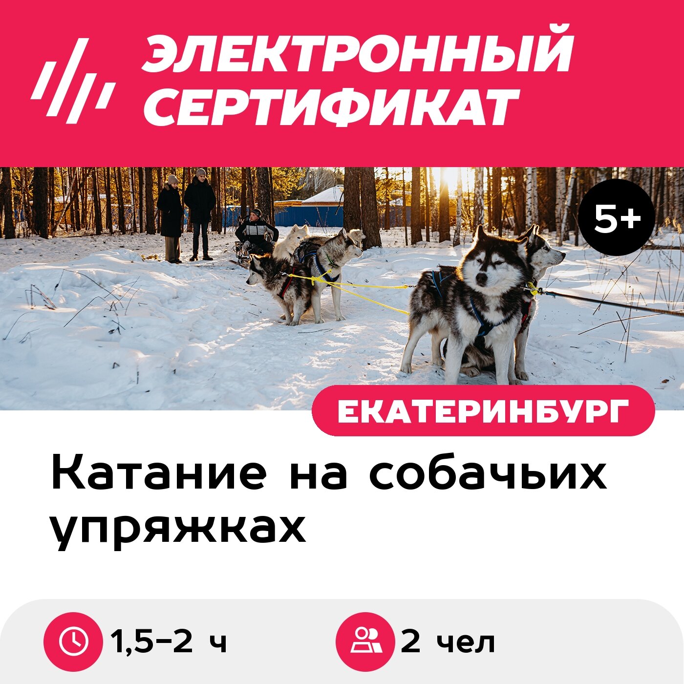Подарочный сертификат Программа Продвинутый каюр для 2 человек (1,5-2 ч.) (Свердловская область)
