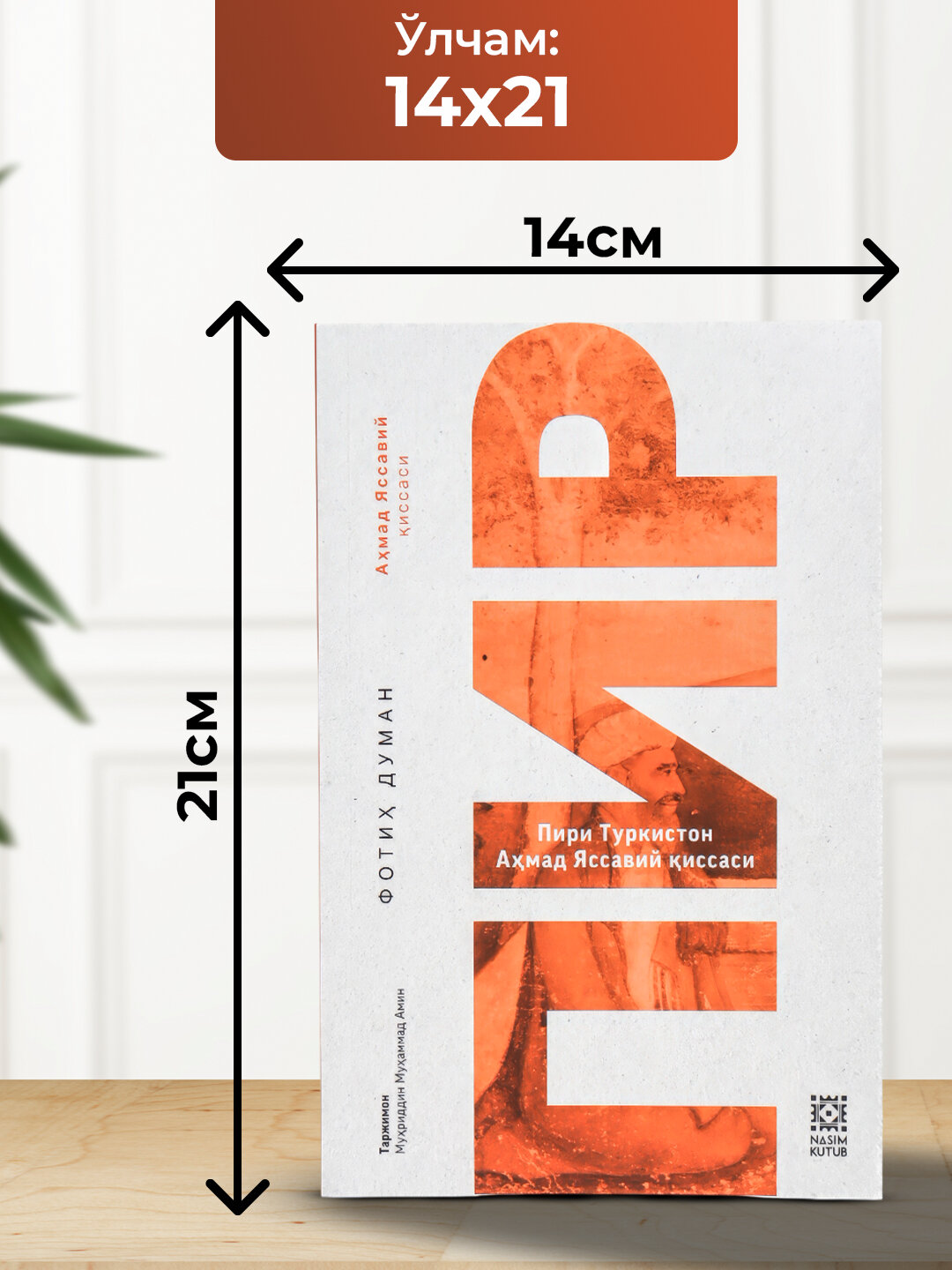 ПИР, Пири Туркистон — фото 1