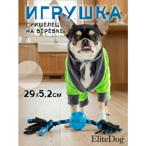 Игрушка для собак комбинированная EliteDog Кость на сцепке бежево-коричневая 16х5см 400₽