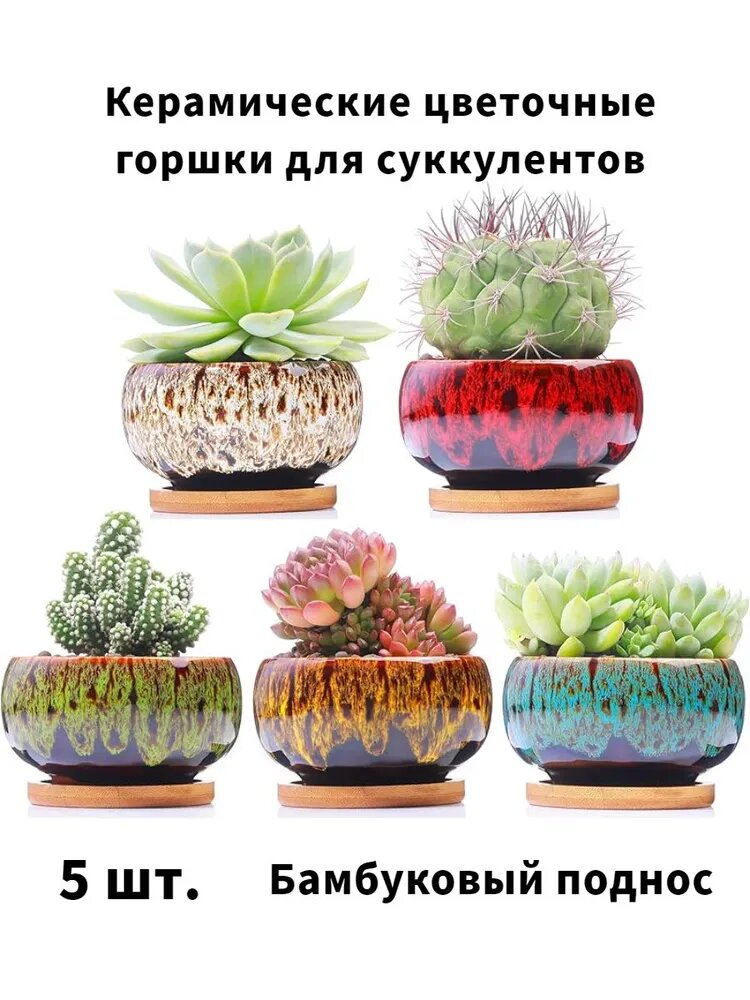 Кашпо 0.2 л, 7 см, 5 шт, цвет разноцветный