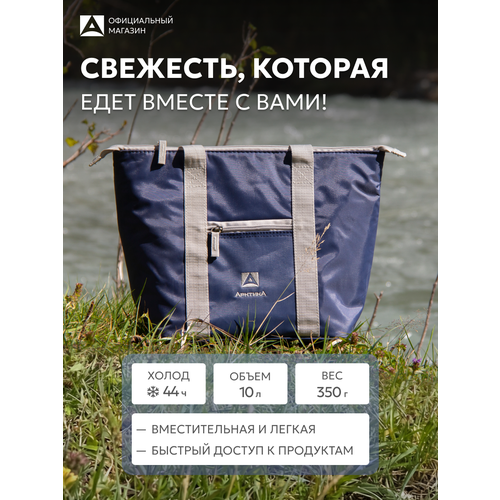 Арктика Сумка-холодильник 3100 10 л синий 29 см 39 см 14.5 см 0.35 кг