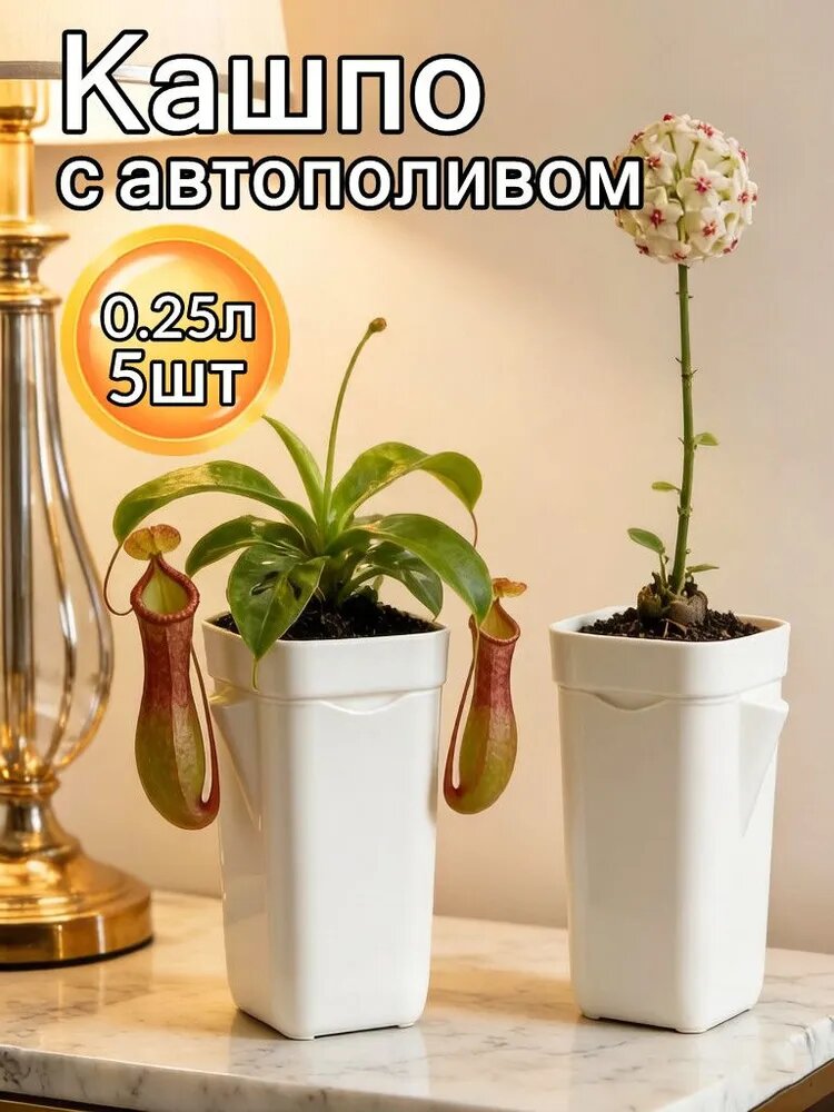 Кашпо с автополивом 0.25 л, 5 шт