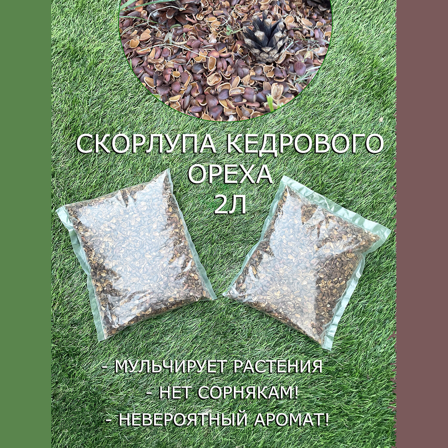 Скорлупа кедрового ореха  2л  мульча  для хвойных  плодово ягодных и овощных культур