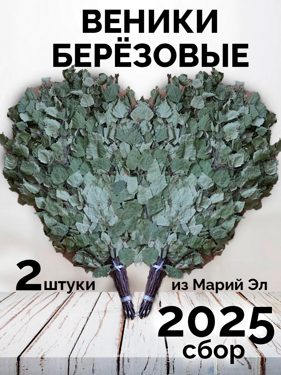 Веник березовый для бани 2 штуки Марий Эл сбор 2025 года