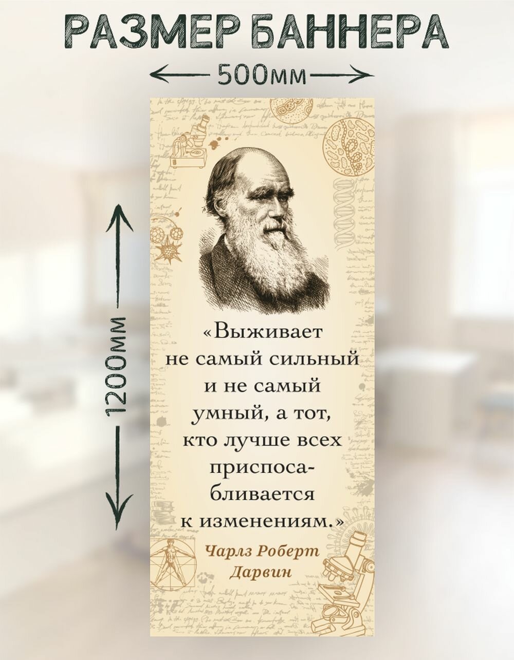 Плакат-баннер в кабинет биологии Дарвин — фото 1