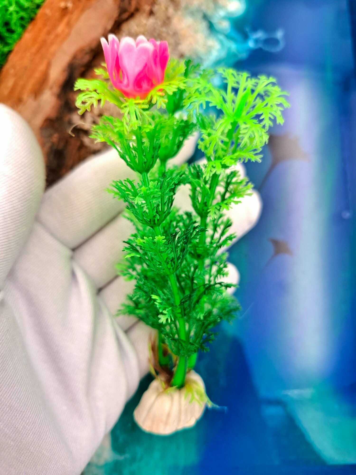 Декорация для аквариума, набор растений водоросли — фото 1