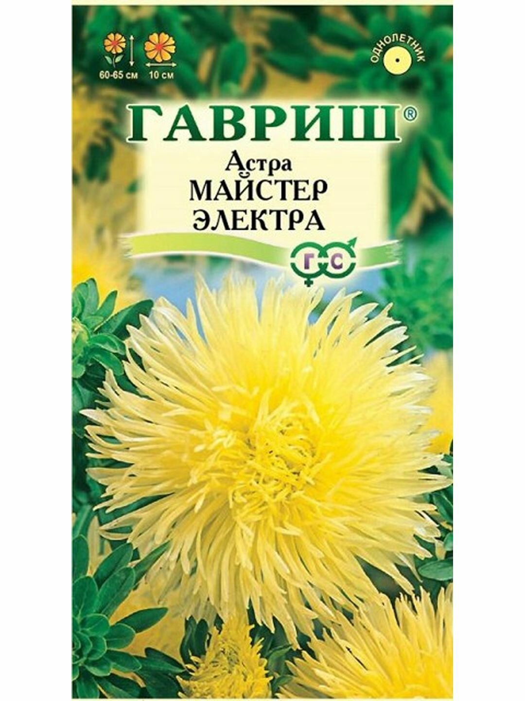 Семена Астра Майстер Электра игольчатая желтая однолетник цветной пакет Гавриш 1 пачка - 0.3г семян