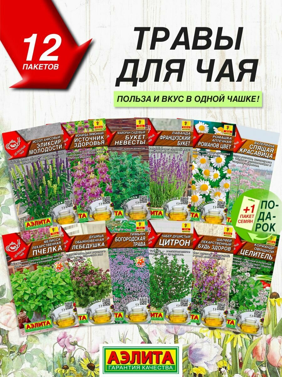 Семена трав Аэлита Целебный чай 12 сортов / Семена трав для чая