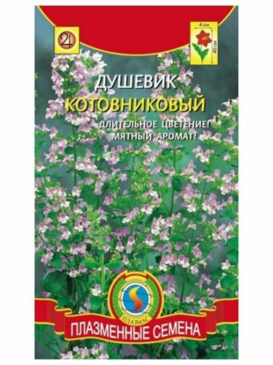 Семена Душевик котовниковый 0,01 гр Плазменные семена