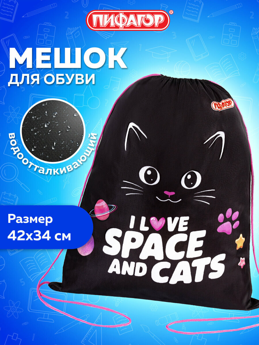 Мешок для обуви, сумка для сменки в школу, чехол детский плотный, 42х34 см, 1 отделение, Пифагор, 273419