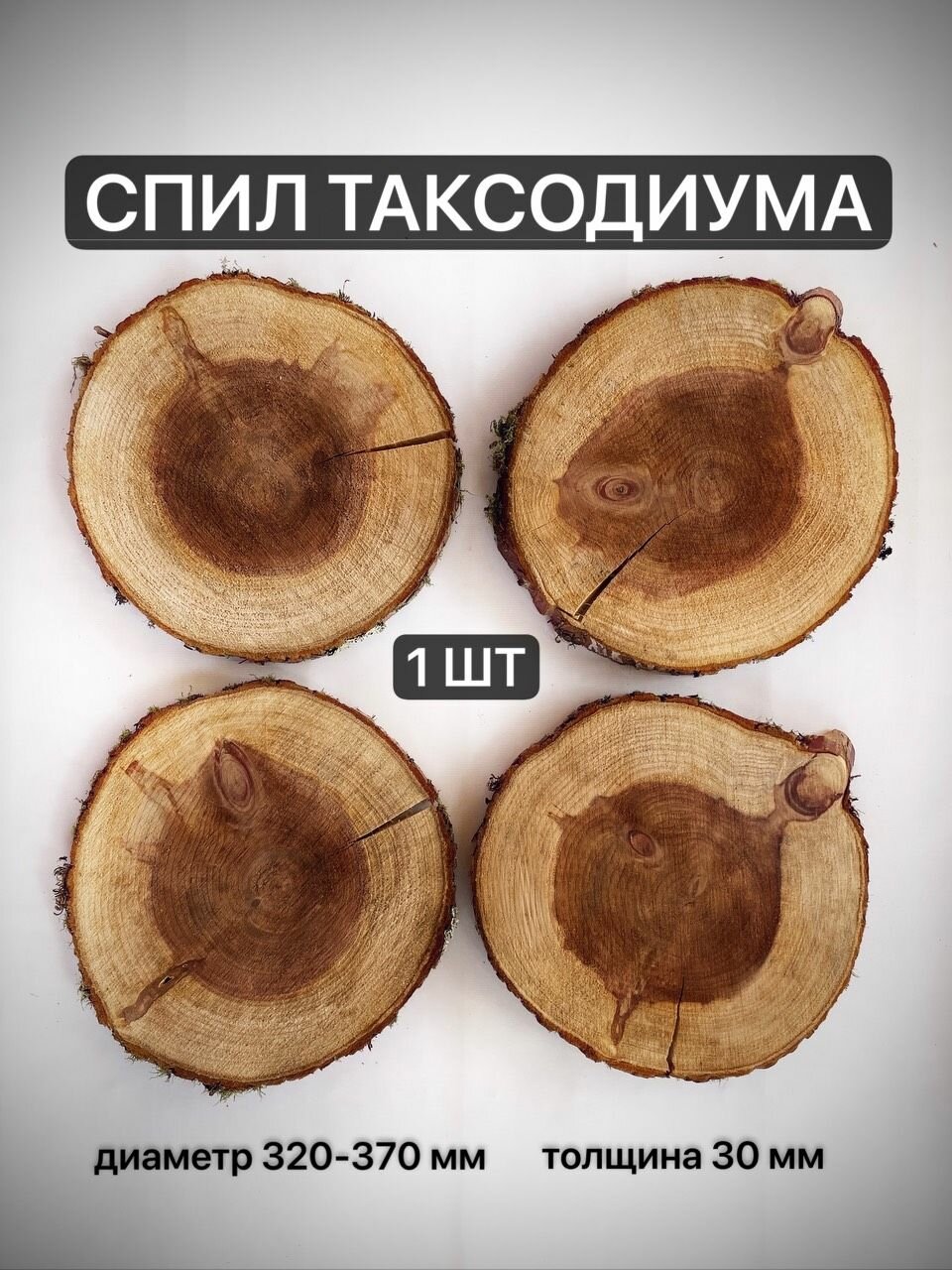Спил Таксодиума с трещиной, диаметр 32-37 см, толщина 3 см, 1шт