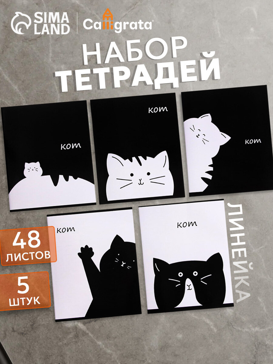Комплект тетрадей 5 штук Calligrata "Кот" в линию, 48 листов