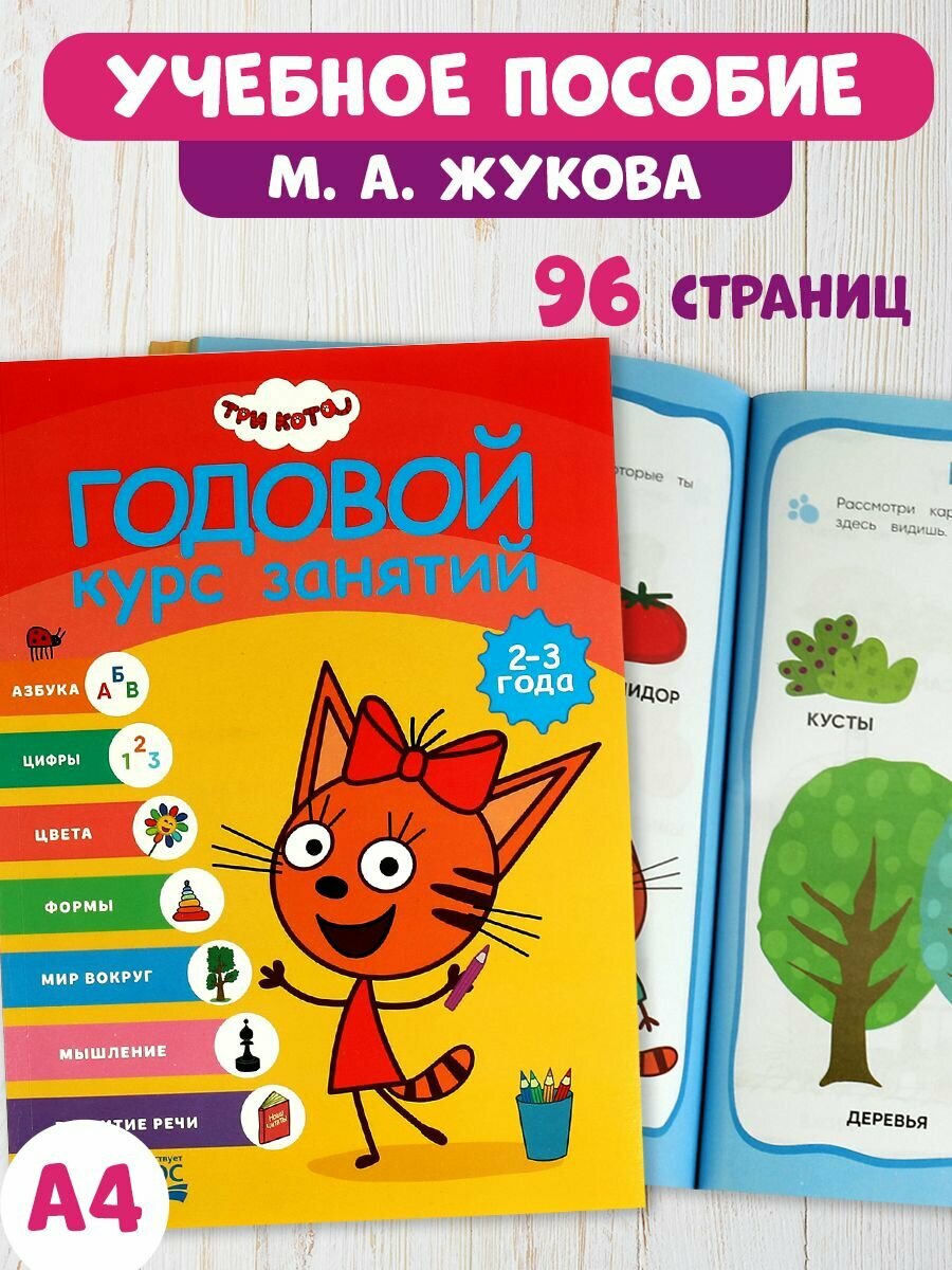 Годовой курс занятий 2-3 года Три кота, Умка / Книга развивающая для детей