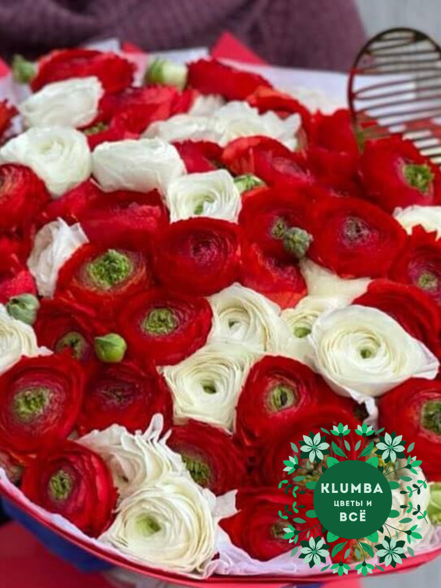 Луковицы цветов  Клумба  Луковицы Ранункулюс RED AND WHITE ( 10 шт )