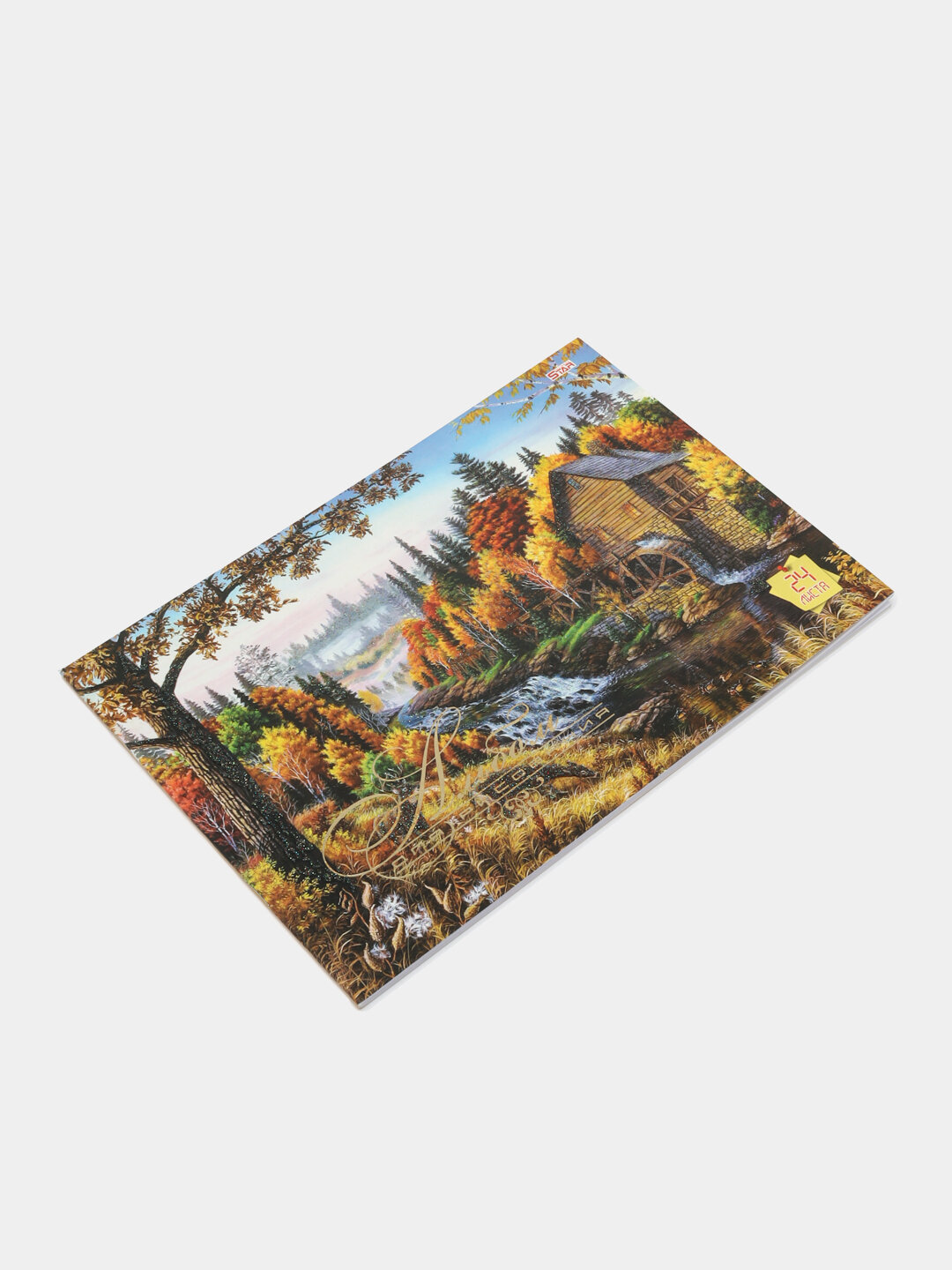 Альбом для рисования STAR, 24 листов - Бронзовый — фото 1