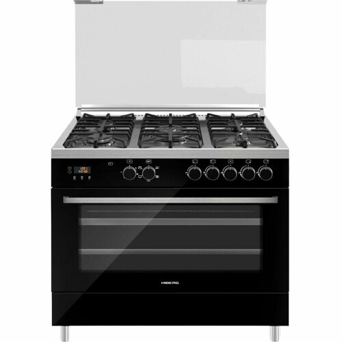 Газоэлектрическая плита HIBERG FEG 950-25 MB широкая 111 л газ-контроль конфорок электроподжиг электрогриль вертел черное стекло 8439000₽