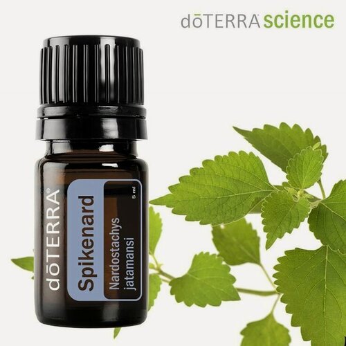 Изображение товара Эфирное масло doTERRA "Нард", без красителей и спирта, древесный аромат