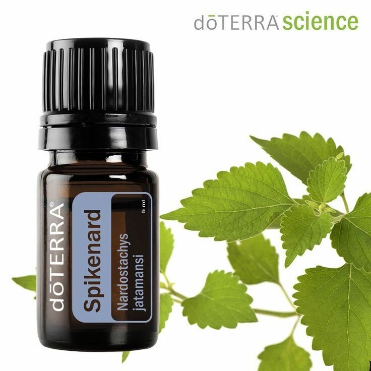 Эфирное масло doTERRA "Нард", без красителей и спирта, древесный аромат