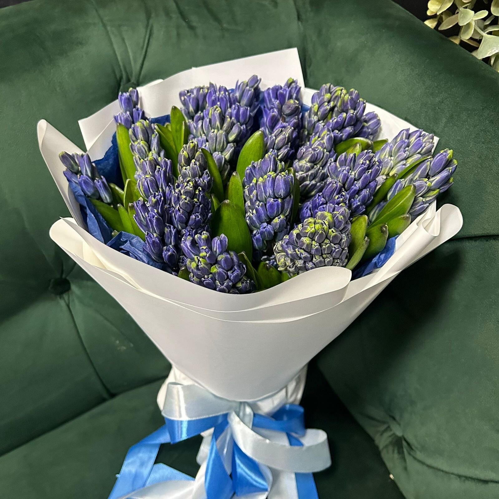 Букет из 25 синих ароматных гиацинтов в белой пленке
