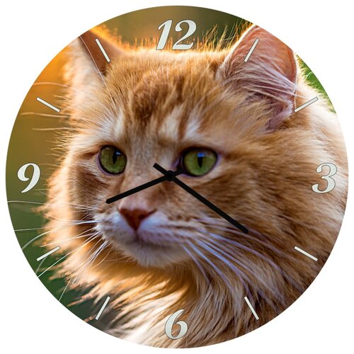 фото Настенные часы svs 3001855